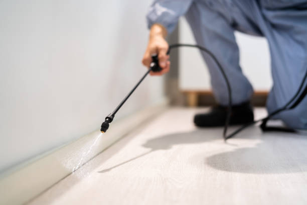 Licensed Pest Control service in Milford, UT - Show Me Pest Control