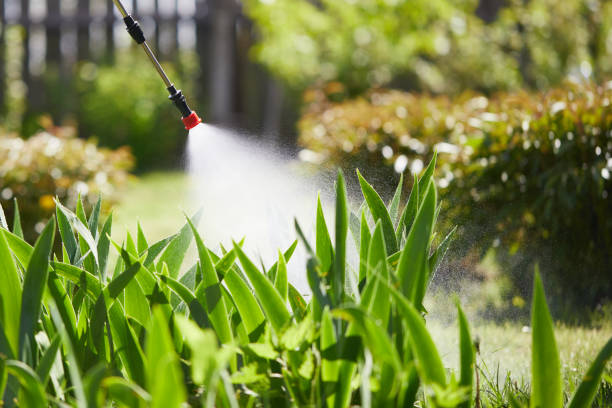 24/7 Emergency Wasp Removal experts in Milford, UT