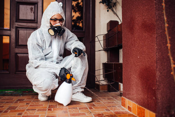 Reliable Wasp Removal contractor in Milford, UT by Show Me Pest Control